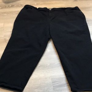 Womens Plus Ebony Rose Denim Embroidered Slim Leg Jeans Blue 22W Style /& Co